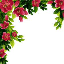 Beautiful Red Flower Vector Background 06 Vector Background Flower Wallpaper Flower Photos