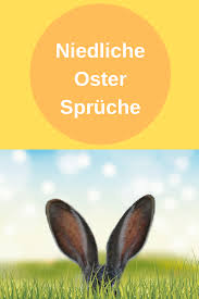 Das brauchen sie für den osterhasen: Niedliche Ostern Spruche Ostern Lustig Frohe Ostern Lustig Bilder Ostern Zitate