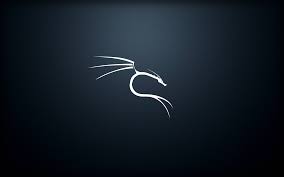 Kali Linux Collection See All Wallpapers Wallpapers Background Internet Linux Kali Windows Wallpaper