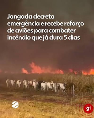 A Prefeitura de Jangada, decretou situa&ccedil;&atilde;o de emerg&ecirc;ncia nesta ter&ccedil;a-feira (18), devido aos diversos focos de inc&ecirc;ndios florestais e queimadas registrados nas zonas rural e urbana do munic&iacute;pio que j&aacute; duram quatro