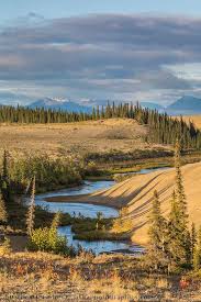 The waterfowl who call the valley home use the extensive wetlands as well as along the lakes' and rivers' banks as nesting grounds. Ahnewetut Creek Flows Through The Great Sand Dunes In The Kobuk Valley National Park Arctic Kobuk Valley National Park American National Parks National Parks