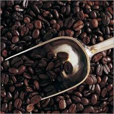 | % δrδbicδ | all rights reserved | privacy policy | terms & conditions. Arabica Coffee Bean At Best Price In Johannesburg Gauteng Leapfrog Market Agency Pty Ltd