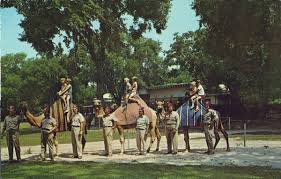 The cleveland metro parks zoo staff are very friendly and open to providing more information about the animals. Camel Rides At The Zoo Postcard Wisconsin Historical Society