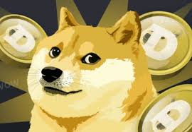 Coinswitch is another notable and safe cryptocurrency exchange in india that lets you purchase and trade dogecoin in india. Dogecoin Dips By 13 Is This The Right Time To Invest How To Buy