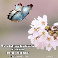 Never be moved, we have been moved five times. Quotes About Death And Flowers Quotesgram