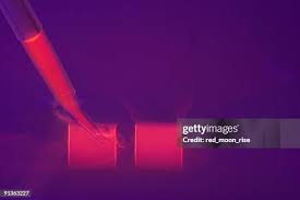 322 項電泳照片檔、高解像度圖片和影像- Getty Images