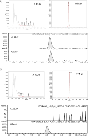 Non rp fear non rp fear adalah tidak mempunyai rasa takut saat ber roleplay. Genomic Diversity In Ochratoxigenic And Non Ochratoxigenic Strains Of Aspergillus Carbonarius Scientific Reports