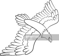 Simply do online coloring for drawing flying eagle coloring page directly from your gadget, support for ipad, android tab or using our web feature. Flying Eagle Clipart 1 566 198 Clip Arts