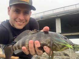 A good and diverse day… Hatch