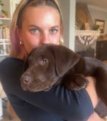 This site is great .I think I need to buy a note book to write all the  places down that have great pet sitting etc