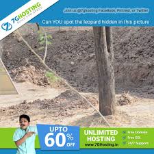 Share With Friends Let S See If He Can Find Hosting Web Hosting Pictures