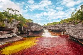 Resultado de imagen para caño cristales meta