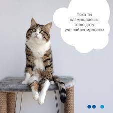 motivaciya k narashivaniyu resnic be perfect smeshnye brovi makiyazh yumor citaty parikmaherov