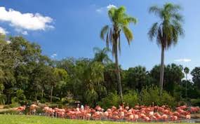Busch gardens tampa bay annual pass members enjoy amazing discounts, free giveaways and fun exclusive events all throughout the year. Visit Busch Gardens Tampa Bay In Tampa Expedia
