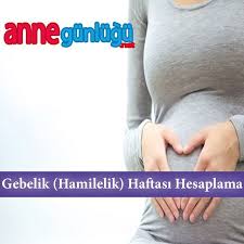 annegunlugunet gebelik hamilelik haftasi hesaplama detayli bilgi icin sayfamizdaki linke tiklayabilirsiniz annegunlugun hamilelik bilgi instagram
