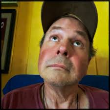 SleuthSayers: The Curious Incident of the Dog in the Our-Time