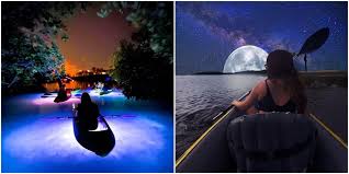8050 us hwy 19n, pinellas park, fl. Florida Night Kayaking Spots For A Romantic Evening Under The Stars Narcity