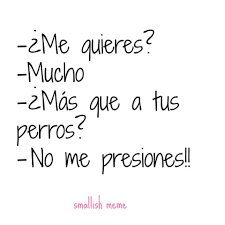 Loco Amor Mascotas Frases Perros Frases Frases Bonitas