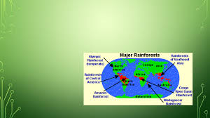 Abiotic factors of a particular biome, be it a tropical rainforest or a grassland, affects what grows there and what can and cannot thrive there. Tropical Rainforest Biome Presentation Pptx Tropical Rainforest Created By Hunter Bentley Bauxite High Locations Found The Tropical Rainforests Are Course Hero