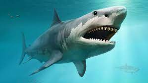 Parce qu'à grande vitesse, la sécurité ne souffre aucun compromis, shark propose des casques haut de gamme, également portés par nos pilotes de haut niveau. Attack Of The Inner Cannibal Mega Shark Science News For Students
