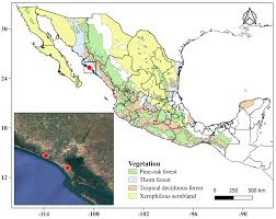 Image result for Vahlia capensis