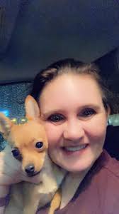 Hello I'm looking for a chihuahua for my bb girl, a boy