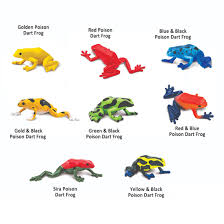 Poison Dart Frogs Toobs Figurine Set