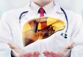 Karaciger Yaglanmasi Neden Olur Belirtileri Ve Tedavisi Nedir Saglik Saglikli Yasam Saglikli