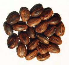 Image result for Canavalia gladiata