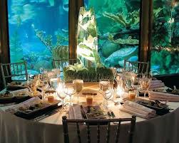 Wedding Reception At The Shedd Aquarium Now Why Didn T I Think Of This Aquarium Wedding Aquarium Wedding Reception Beach Theme Wedding