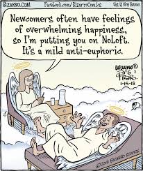 Bizarro For 1 15 2018 Funny Cartoon Pictures Social Work Humor Psychology Jokes