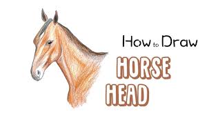 Draw a curved line between the sides of the circles, outlining the top of the horse's face. How To Draw A Horse Head Narrated Youtube