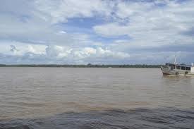 Салон купальников (ип исаева е.е.) уфа, лесотехникума 49/1. Vista Da Ilha Das Oncas Na Ufpa Picture Of Belem State Of Para Tripadvisor