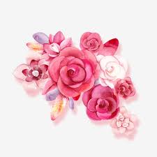 Rose, flower, bunga, pink, nature, summer. Rapsbluten Im Landlichen Dali Yunnan Naturlich Landschaft Schon Png Bild Und Clipart Zum Kostenlosen Download