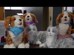 Services include dog walking and grooming. Robotic Pets Cure Senior Loneliness Ivanhoe Broadcast News Inc