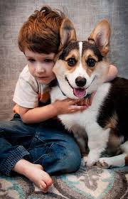 Did you know, there is a little boy that lives in our town and his name is  Harlan? AND, his bestest buddy in the whole world is his pup Morty. I had