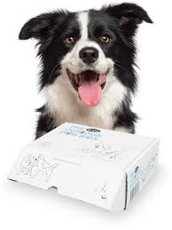 Your dog's olly's box will be specially designed for their size, gender, personality and dietary requirements. Curious Box Pet Circle
