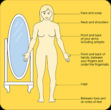 Skin cancer is by far the most common type of cancer. How To Spot A Skin Cancer Cancer Council Nsw