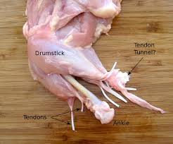 The extract is a source of a protein, gelatine, and perhaps other substances, that stopped the pain and swelling in a. Dissecting A Chicken Leg