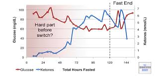 Intermittent Fasting The Definitive Guide 2019 Bodyketosis