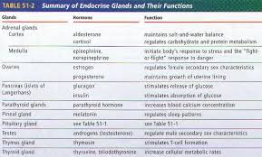 wakefield community schools a p flashcards endocrine