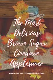 To make applesauce, or to use applesauce? Make Your Own Delicious Homemade Applesauce Thistle Downs Farm