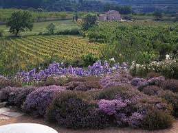 Anthony Paul Landscape Design Mediterranean Landscape Design Landscape Design Provence Garden