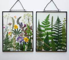 If using a bouquet, keep it in water until ready to press. Dried Flower Art Allows You To Display Real Botanicals In Your Home