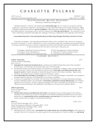 top resume samples executive format