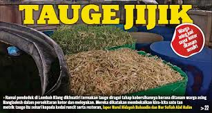 Ikan tongkol buang tulang dan durinya. Cara Membuat Tauge Panjang Dan Gemuk Info Kesehatan