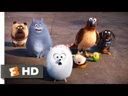 тайная жизнь домашних животных 2 смотреть онлайн бесплатно ютуб The Secret Life Of Pets Secret Route Scene 4 10 Movieclips Youtube Secret Life Of Pets Pets Movie Pet Trailer