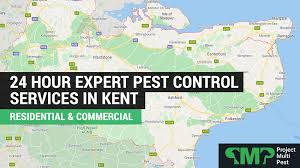 They're a constant drain on. Pest Control In Kent Professional 24 Hour Service