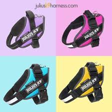 Julius K9 Harness Stunning Colours