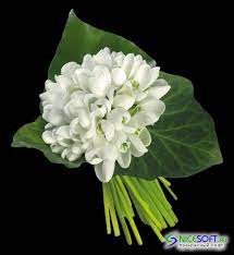 Snowdrop Bouquet Winter Flowers Flower Arrangements Wedding Flowers